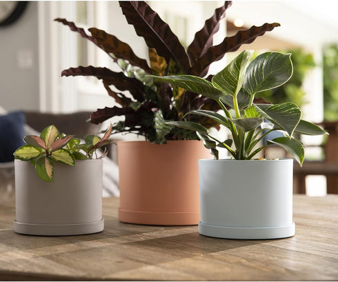 Bloem Mathers Planter w/Saucer Tray 8" Muted Terra Cotta...