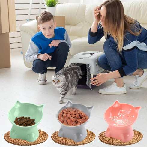 3PCS Elevated Cat Bowls, 15° Tilted Raised Cat Food Bowl Anti-Vomiting, Raised Cat Food and Water Bowl Set for Protecting Pet's Spine, Shallow Cat...