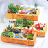 Dracarys Selected 50 Pcs Fairy Garden Accessories, Fairy Garden Kit, Fairy Garden Animals, Miniature Figurines, Micro Landscape Ornaments Kit, Mul...