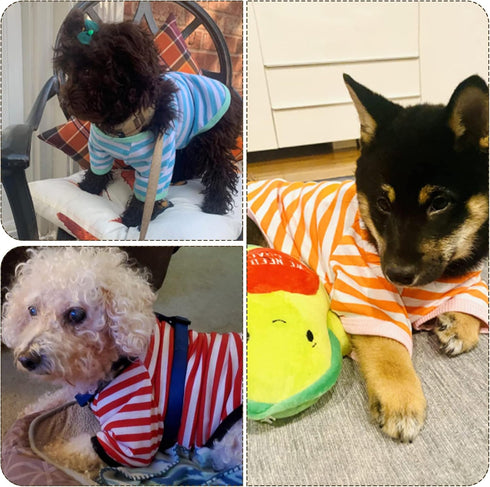 Geyoga 6 Pieces Dog Striped T-Shirt Dog Shirt Breathable Pet Apparel Colorful Puppy Sweatshirt Dog Clothes for Small to Medium Dogs Puppy (XL)...