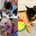 Geyoga 6 Pieces Dog Striped T-Shirt Dog Shirt Breathable Pet Apparel Colorful Puppy Sweatshirt Dog Clothes for Small to Medium Dogs Puppy (XL)...