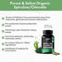 Chlorella Spirulina Powder Capsules Organic 3000 mg of BMAA Free Purest Blue Green Algae - Best Natural Detox Raw Vegan Vitamins Protein Green Sup...