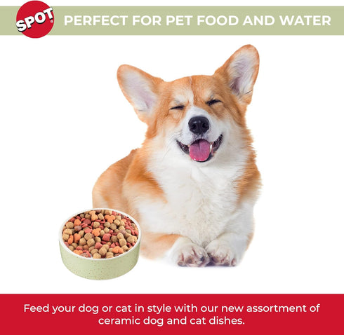 SPOT by Ethical Products - Heavy Ceramic High Gloss Dog Bowl Cat Bowl Durable Dog Food and Water Pet Dish - Dishwasher Safe – Trending Styles - SP...