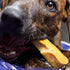 EcoKind Himalayan Yak Cheese Dog Chew | All Natural Premium Dog Treats, Healthy & Safe for Dogs, Long Lasting, Treats for Dogs, Easily Digestible,...