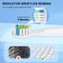 Toothbrush Heads Compatible with Bitvae D2 Electric Toothbrush, Soft Brush Bristles, 10 Pack Replacement Heads, White...