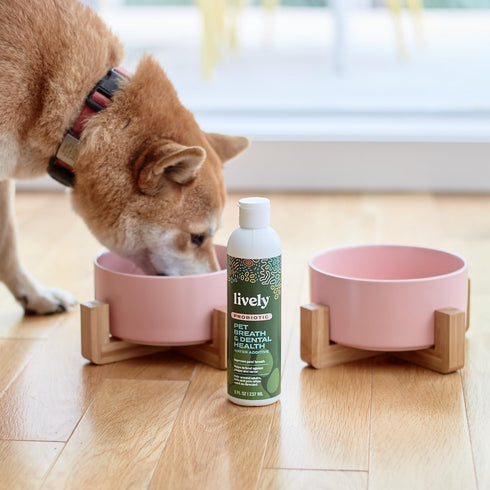 Lively Pet Breath & Dental Health Water Additive...