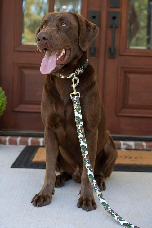 Country Brook Petz - Deluxe Woodland Bone Camo Dog Collar - Made in The U.S.A., Camouflage Collection featuring Rugged Designs (1 Inch, Medium)...