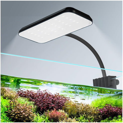 Boxtech Fish Tank Led Light, Small Aquarium Clip On Light, 8W White Led Clamp Light, 4.53 Inch USB Full Spectrum Planted Light for 3 to 6 Gallon T...
