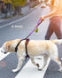 Joytale Strong Short Dog Leash 2FT, 1.2 Inch Wide Heavy Duty Traffic Leash for Dogs with Padded Handle, Short Leash for Dog Training Control, Refl...