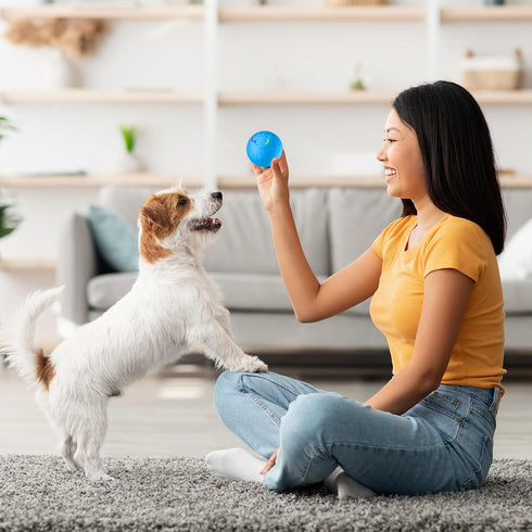 Smart Interactive Dog Toys Ball, Auto Moving Bouncing Rotating Ball with 2 Modes, USB Rechargeable, 56mm in Diameter for Small Dog, Fun Gift for B...