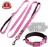 Adityna - Comfortable 6 ft Pink Dog Leash for Small, Medium, Large Dog Breeds - Double Handle Padded with Ultra Soft Neoprene - Heavy Duty, Reflec...