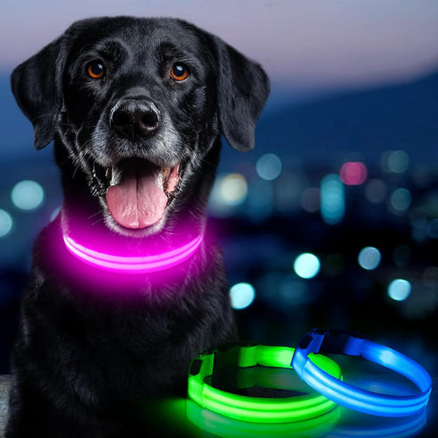 LED Dog Collar - HIGO USB Rechargeable Light Up Dog Collars, Pet Safety Collar Light Makes Your Dogs Be Seen at Night for Large Dogs (Pink, Large)...