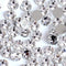 Onwon 288 Pieces SS34 / 7mm Clear Crystal Flat Back Brilliant Round Rhinestones Glass Stones Glitter Gems Transparent Faux Diamond (Clear)...