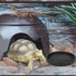 Reptile Feeding Dish Bowl Food and Water Bowl Tortoise Dish Reptile Tank Decor, Dia 6.7 Inches, Round...