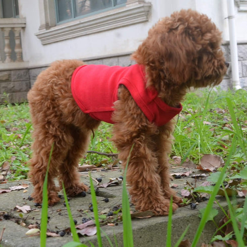 Lovelonglong 2019 Summer Pet Clothing, Dog Clothes Blank T-Shirts Ribbed Tanks Top Thread Vests for Large Medium Small Dogs 100% Cotton Red L-L...