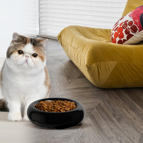 6.1 Inch Cat Bowls, 7 oz Ceramic Cat Food Bowl, Whisker Fatigue Relief Cat Bowl, Anti-Vomiting, Protect Spine, Perfect for Indoor Cats(Black)...