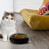 6.1 Inch Cat Bowls, 7 oz Ceramic Cat Food Bowl, Whisker Fatigue Relief Cat Bowl, Anti-Vomiting, Protect Spine, Perfect for Indoor Cats(Black)...