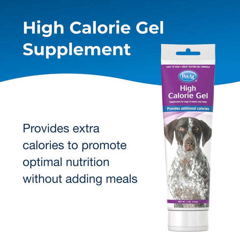 Pet-Ag High Calorie Gel Supplement for Dogs - 5 oz - Chicken Flavor - Provides Extra Calories for Dogs 8 Weeks and Older - Easy to Digest...