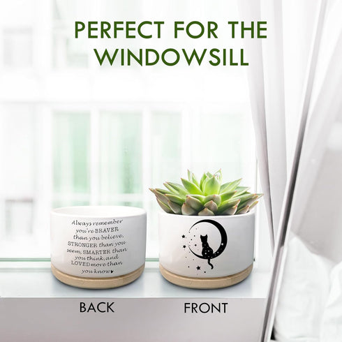 Cute Cat Succulent Plant Pot with Inspirational Quote, Funny Small Cactus Flower Planter Pots for Indoor Plants, Windowsill Desk Decor Planter Gif...
