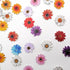 100Pcs Wood Daisy Buttons Painted Wooden Flower Buttons for Crafts Sunflower Wood Buttons 2 Holes Flatback Flower shaped Buttons...