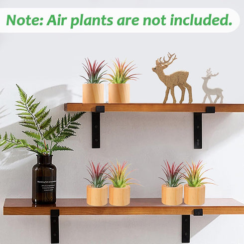 Set of 6 Wood Air Plant Holder- Rustic Style Air Plant Pots Indoor Decorative Air Plants Display Containers Table Centerpiece for Home Office Tabl...