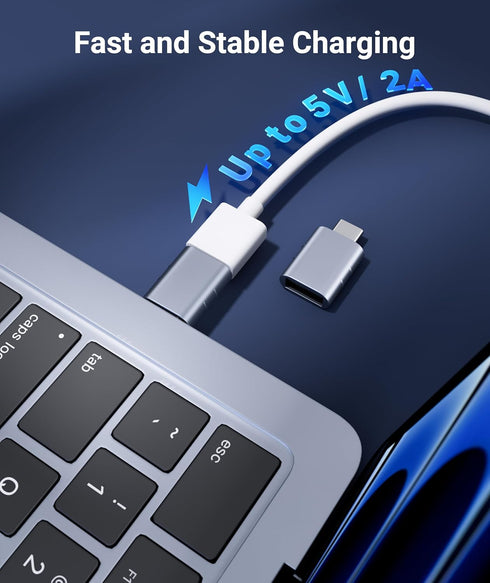 Syntech USB C Male to USB3 Female Adapter Compatible with iPhone 16 Pro Max iMac 2021, iPad Pro 2021, MacBook Pro 2020 / Air 2020 and Other Type C...