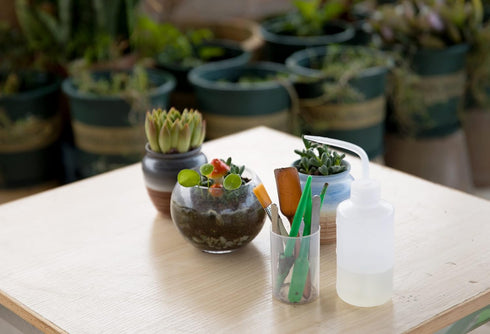 Ginsco 7pcs Succulent Transplanting Miniature Fairy Garden Planting Gardening Hand Tools Set...