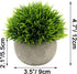 Ogrmar 4PCS Mini Plastic Artificial Plants Grass in Pot/Small Artificial Faux Greenery/Mini Plants Topiary Shrubs Fake Plants for Bathroom, House ...
