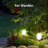 Solar Pathway Lights Outdoor, Landscape Path Lights Solar Powered Waterproof IP67 Dusk to Dawn Solar Globe Lights for Outside Garden Walkway Lawn ...