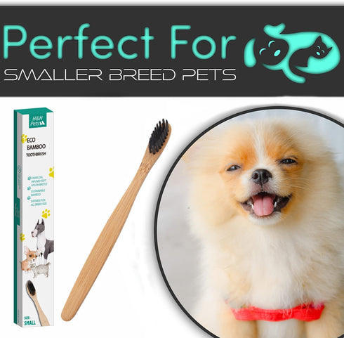 H&H Pets Bamboo Toothbrush Set for Dogs and Cats - Ultra Soft Bristles & Biodegradable Wooden Toothbrush, Puppy Supplies, Dog Dental Set, Eco-Frie...