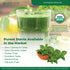 Greeniche Stevia 100 Sachets, Powdered Sweetener & Food Additive, A Completely Safe Sweetener Extracted from The Herb Stevia Rebaudiana, Sugar Sub...