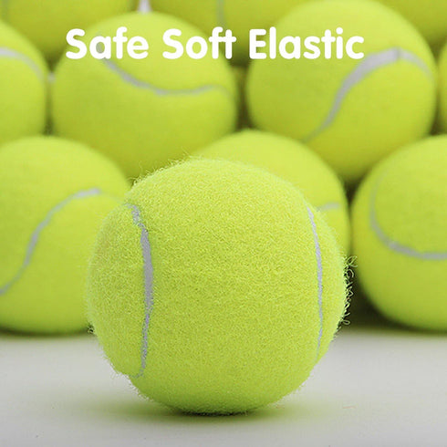 12 Pack Mini Tennis Balls for Pet Playing Fecth, 2 inch Dog Training Tennis Balls for Small Size Dogs, Interactive Dog Playing Balls Fits 2 inch A...