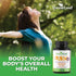 DHEA 100mg | DHEA Supplement for Women | DHEA Supplement for Men | Pure High Strength Micronized Dehydroepiandrosterone | Supports Energy, Hormone...