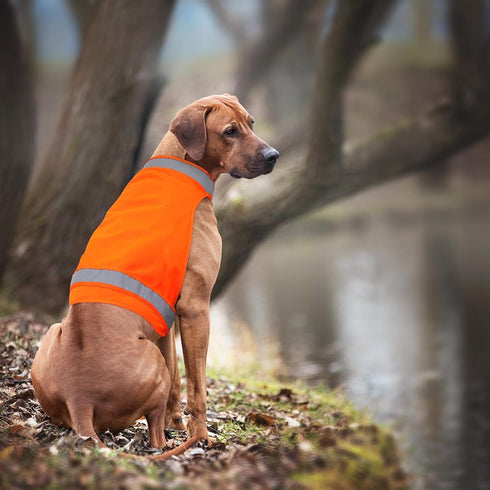2 Pieces Dog Reflective Vest for Hunting, High Visibility Bright Orange Dog Safety Vest, Soft Adjustable Reflective Dog Jacket for Outdoor Walking...