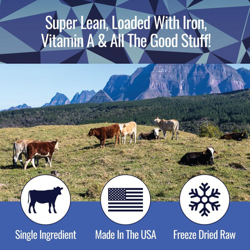 Freeze Dried Beef Liver Bites - Single Ingredient Beef Liver Dog Treats - Low Calorie Training Treats for Dogs - 2oz Bag, 1 Pack...