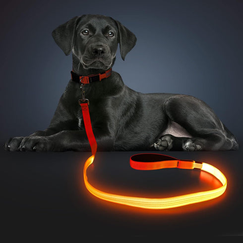 LED Light Up Dog Leash 3 Lighting Modes USB Rechargeable, High Visibility Up to 400 Yards Safety Glow in The Dark Dog Leash for Large Medium Small...