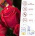 yethious Rose Essential Oil 100% Pure Rose Scented Oil for Diffuser & Aromatherapy Fragrance DIY Candle Soap Making Rose Oil Essential Oil 10ML...