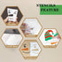 45 Pcs Christmas Snowman Face Stencils, 3 Inch Small Christmas Stencil Reusable Plastic Drawing Templates Craft Kits for Painting on Wood Cookie G...