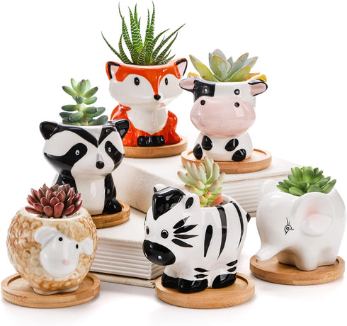 6 Pack Succulent Pots, 3 Inch Small Ceramic Flower Planter Pot, Cute Animal Plant Holder Container with Drainage Hole and Bamboo Tray for Cactus, ...