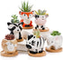 6 Pack Succulent Pots, 3 Inch Small Ceramic Flower Planter Pot, Cute Animal Plant Holder Container with Drainage Hole and Bamboo Tray for Cactus, ...