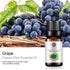Grape Essential Oil 100% Pure Oganic Plant Natrual Flower Essential Oil for Diffuser Message Skin Care - 10ML...