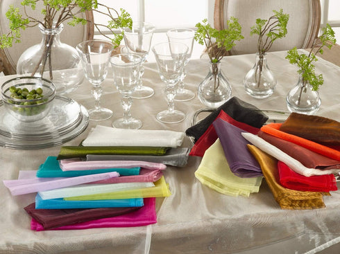 Fennco Styles Sorbet Collection Elegant Sheer Organza 20 x 20 Inch Cloth Napkins, Set of 12 - Silver Diner Napkins for Wedding, Banquets, Special ...