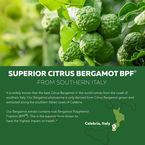 SoActive Bergamot: 2.5X More Effective, Italian Citrus Bergamot Phytosome - Clinically Validated | Enhanced with Grape Seed Extract with 95% PAC -...