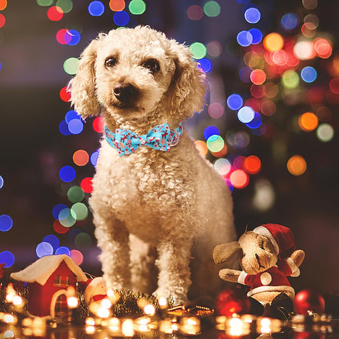 Christmas Dog Collars for Large Dog with Bow Tie,Blue Dog Collar with Safety Metal Buckle Adjustable Puppy Collars for Small Medium Dog,Boy&Girl&m...
