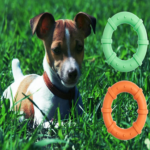 Dog chew Toys for Aggressive chewers Small Breed Non Toxic Silicone Long Lasting Dog Toys Ring Toy for Healthy Teeth (Green)...