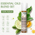 Essential Oils Roll On Set 6 Pack -(Relax, Sleep, Balance,Breathe, Focus on, Happiness) Aromatherapy Oil with Roller Ball,Essential Oils Blends fo...