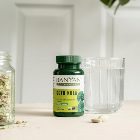 Banyan Botanicals Gotu Kola (Centella Asiatica) – Organic Adaptogen & Nootropic Brain Support Supplement for Healthy Memory & Concentration* – 90 ...