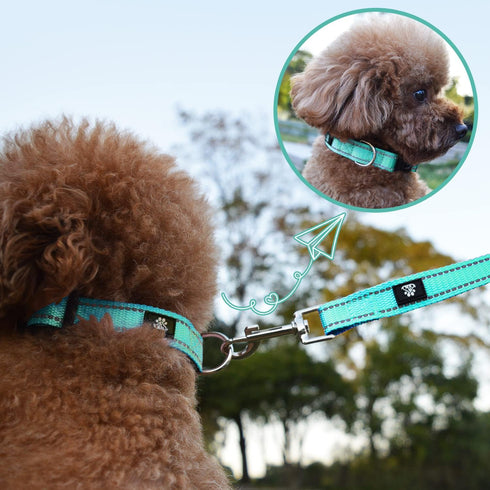 NESTROAD Reflective Dog Collar,Soft Neoprene Padded Dog Collar with Quick Release Buckle,Adjustable Breathable Pet Collar for Medium Dogs(Medium,T...