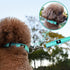 NESTROAD Reflective Dog Collar,Soft Neoprene Padded Dog Collar with Quick Release Buckle,Adjustable Breathable Pet Collar for Medium Dogs(Medium,T...