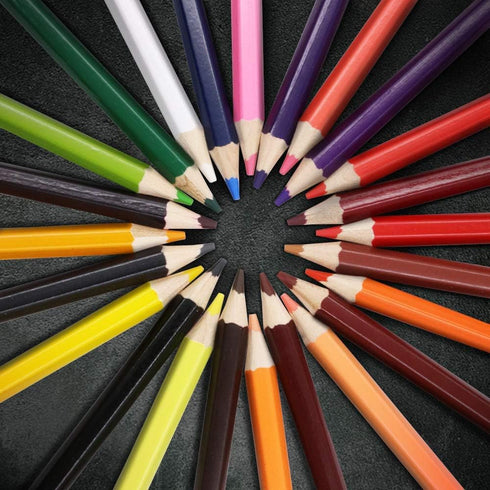 YOOUSOO Colouring Pencils, 24 Pcs Professional Coloured Pencils Drawing Pencils, Oil-based Artist Pencil Set, No Wax, Ideal for Sketching, Doodlin...
